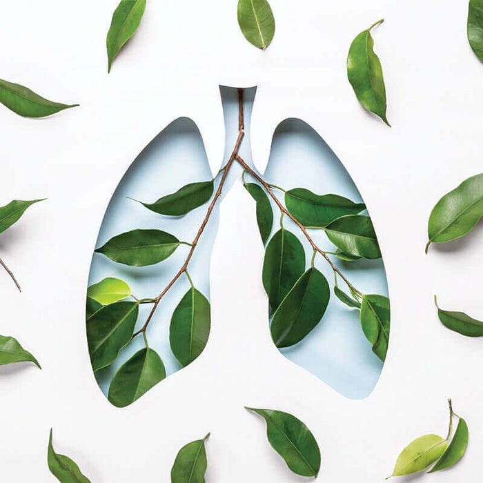  Breathe Easy: The Importance of Clean Indoor Air Quality