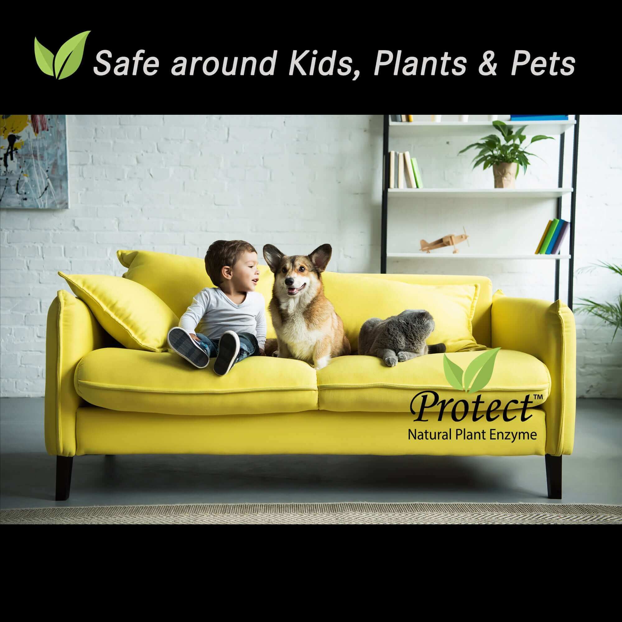 Protect Home & Commercial House Bundle