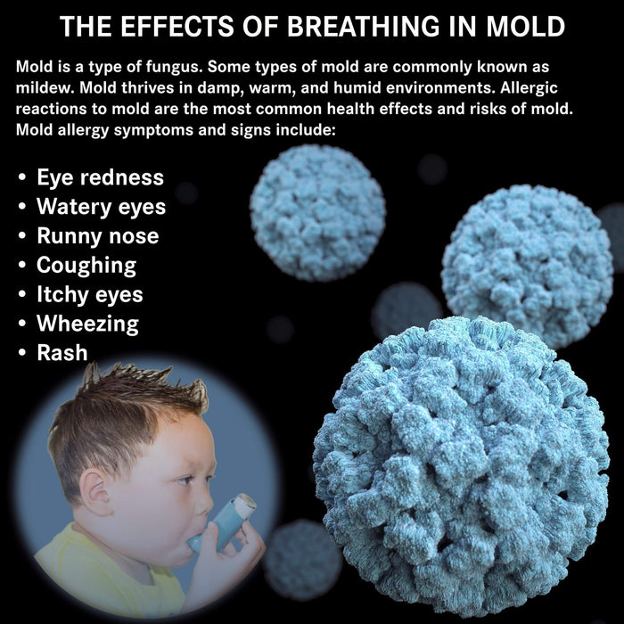 The Effects of Breathing in Mold